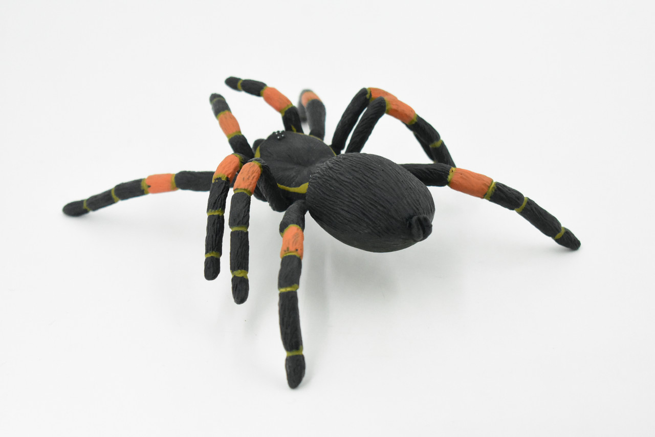 Spider, Tarantula, Mexican Red-kneed, Museum Quality Rubber Insect, Educational, Realistic Hand Painted Figure, Lifelike Model,        8"         F3635 B210