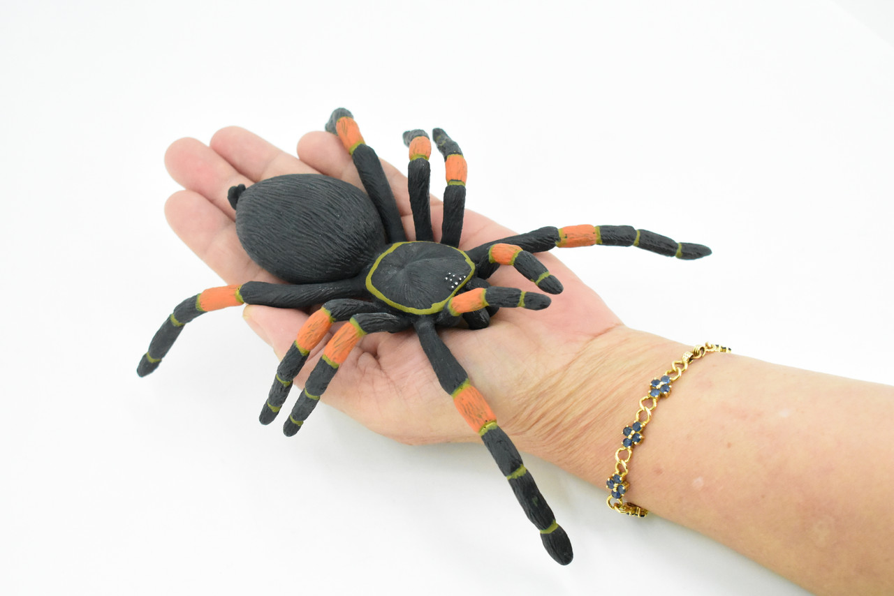 Spider, Tarantula, Mexican Red-kneed, Museum Quality Rubber Insect, Educational, Realistic Hand Painted Figure, Lifelike Model,        8"         F3635 B210