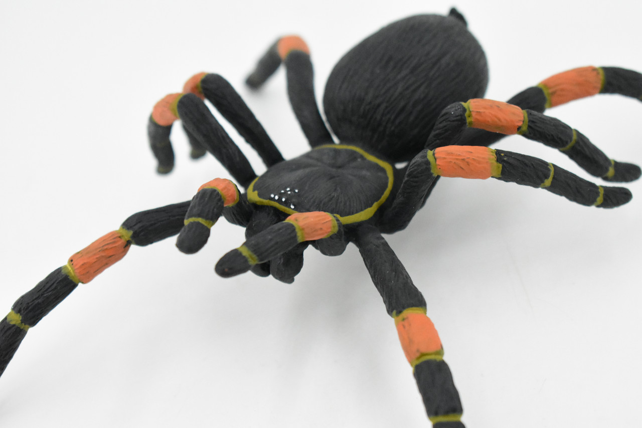 Spider, Tarantula, Mexican Red-kneed, Museum Quality Rubber Insect, Educational, Realistic Hand Painted Figure, Lifelike Model,        8"         F3635 B210