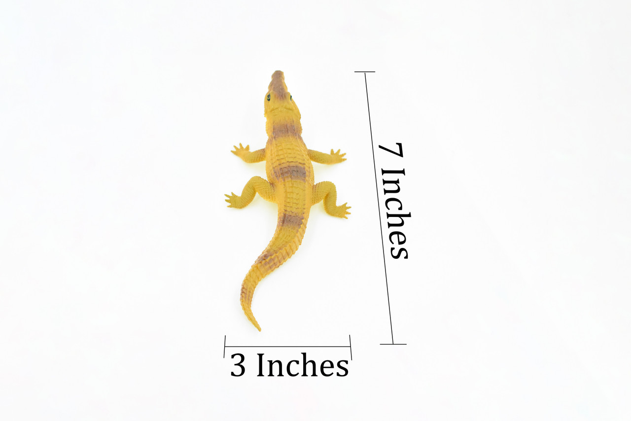 Crocodile, Freshwater Crocodile, Alligator, Plastic Toy Reptile, Realistic Figure, Model, Replica, Kids, Educational, Gift,      7"     F8126 B229