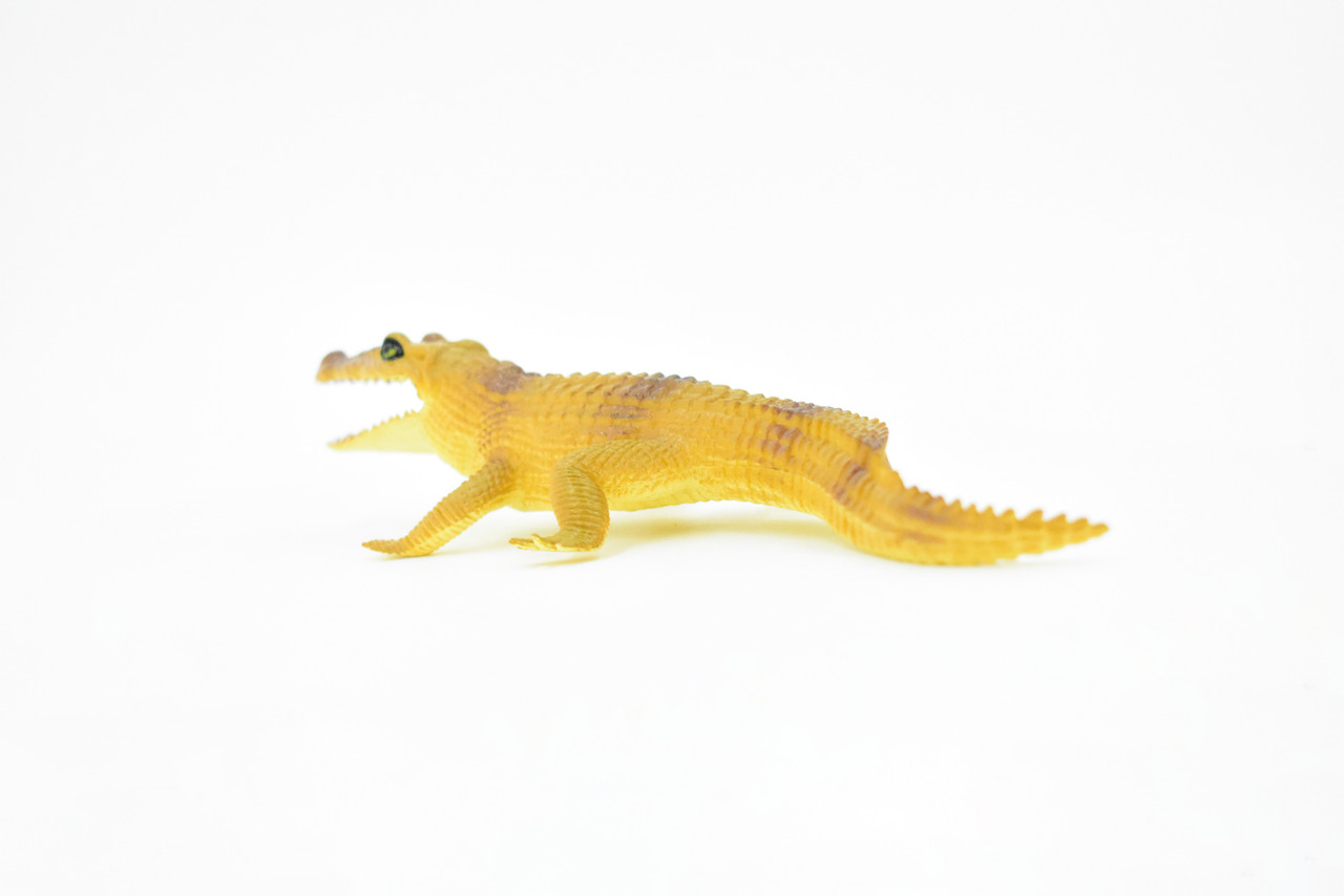 Crocodile, Freshwater Crocodile, Alligator, Plastic Toy Reptile, Realistic Figure, Model, Replica, Kids, Educational, Gift,      7"     F8126 B229