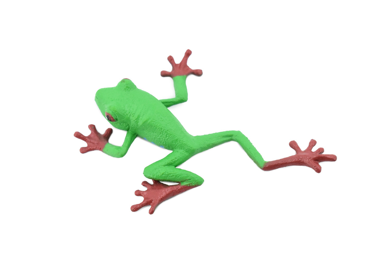 Red-Eyed Tree Frog, Hand Painted, Amphibian, Hard Rubber, Realistic Frog, Figure, Model, Replica, Toy, Kids, Educational, Gift,    3"  