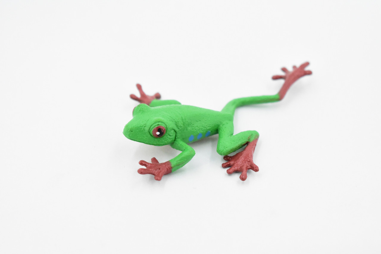 Red-Eyed Tree Frog, Hand Painted, Amphibian, Hard Rubber, Realistic Frog, Figure, Model, Replica, Toy, Kids, Educational, Gift,    3"  
