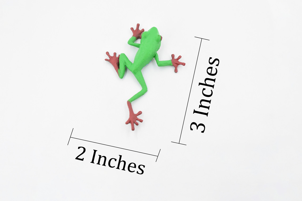 Red-Eyed Tree Frog, Hand Painted, Amphibian, Hard Rubber, Realistic Frog, Figure, Model, Replica, Toy, Kids, Educational, Gift,    3"  