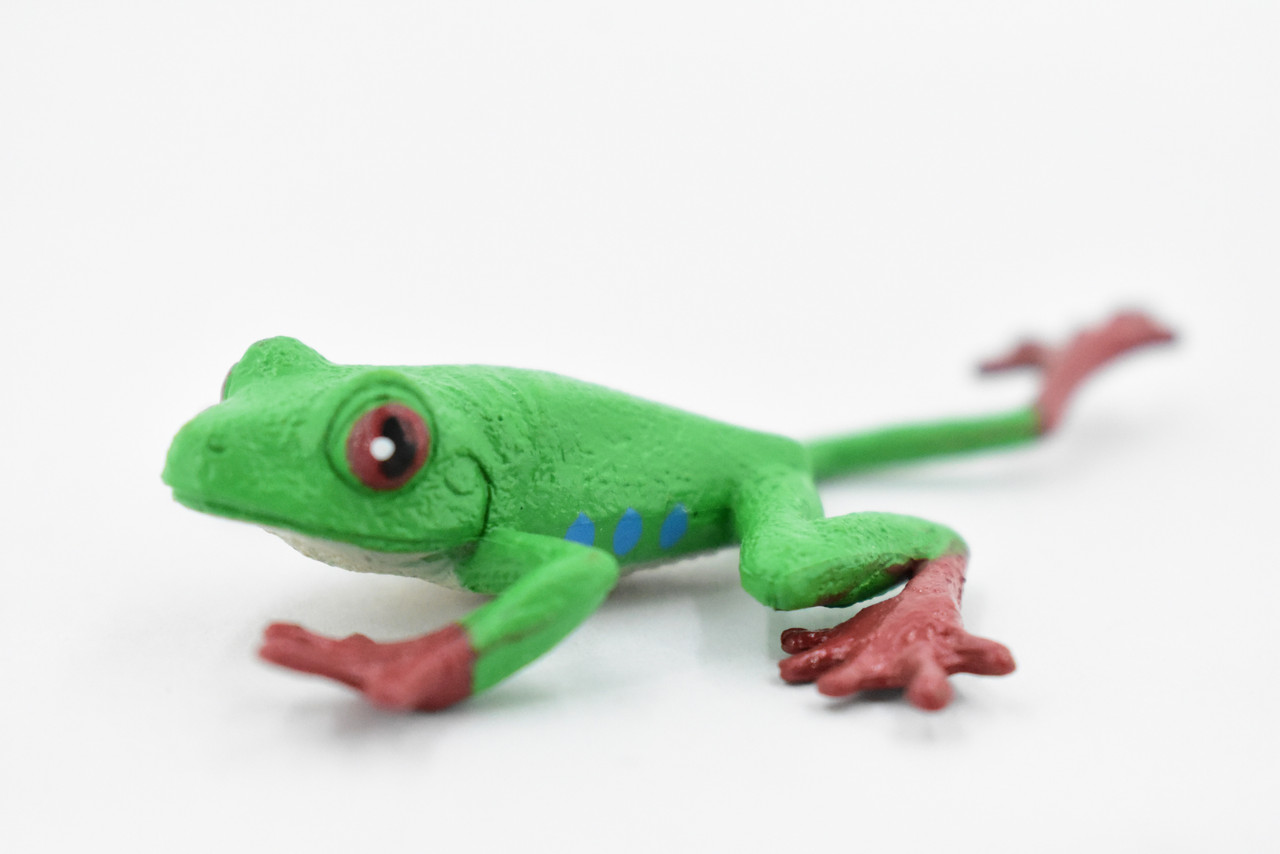 Red-Eyed Tree Frog, Hand Painted, Amphibian, Hard Rubber, Realistic Frog, Figure, Model, Replica, Toy, Kids, Educational, Gift,    3"  