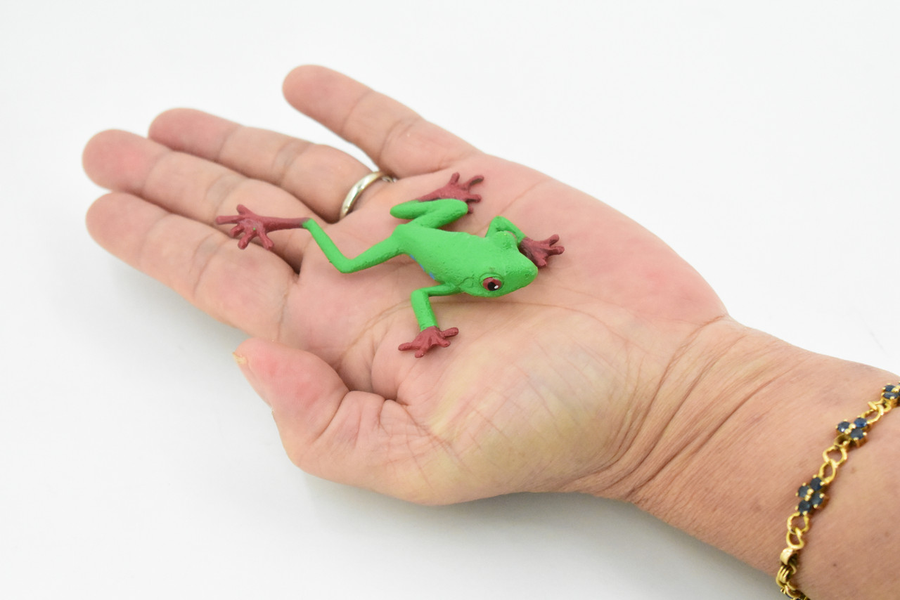 Red-Eyed Tree Frog, Hand Painted, Amphibian, Hard Rubber, Realistic Frog, Figure, Model, Replica, Toy, Kids, Educational, Gift,    3"  
