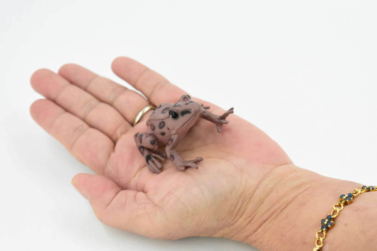 Western Spotted Frog, Hard Rubber, Amphibian, Realistic Figure, Model, Replica, Toy, Kids, Educational, Gift,     2 1/2" 