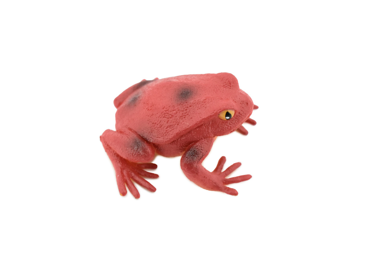 Frog, Tomato Frog, Rubber Toy Amphibian, Realistic Figure, Model, Replica,  Kids, Educational, Gift, 2 F4078 B54