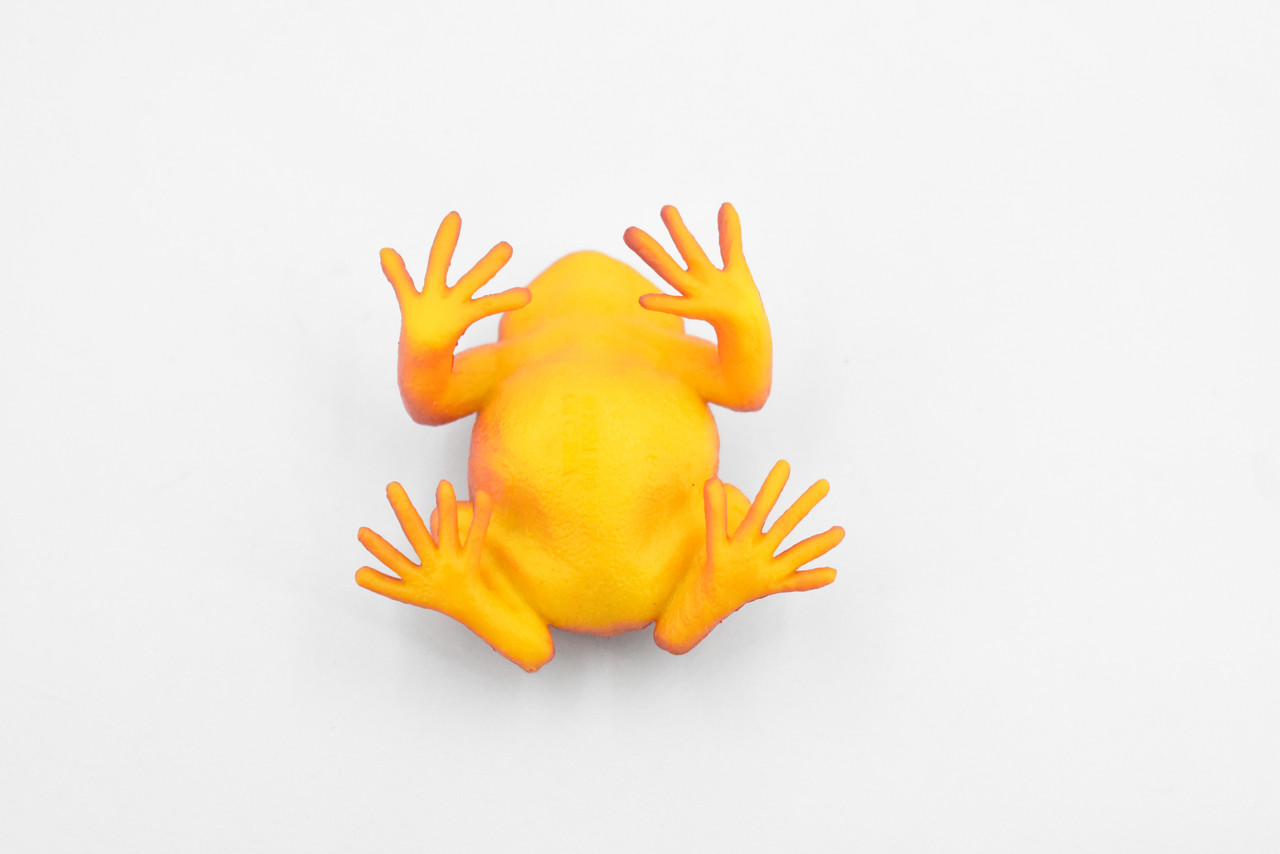 Frog, Tomato Frog, Rubber Toy Amphibian, Realistic Figure, Model, Replica, Kids, Educational, Gift,     2"    F4078 B54