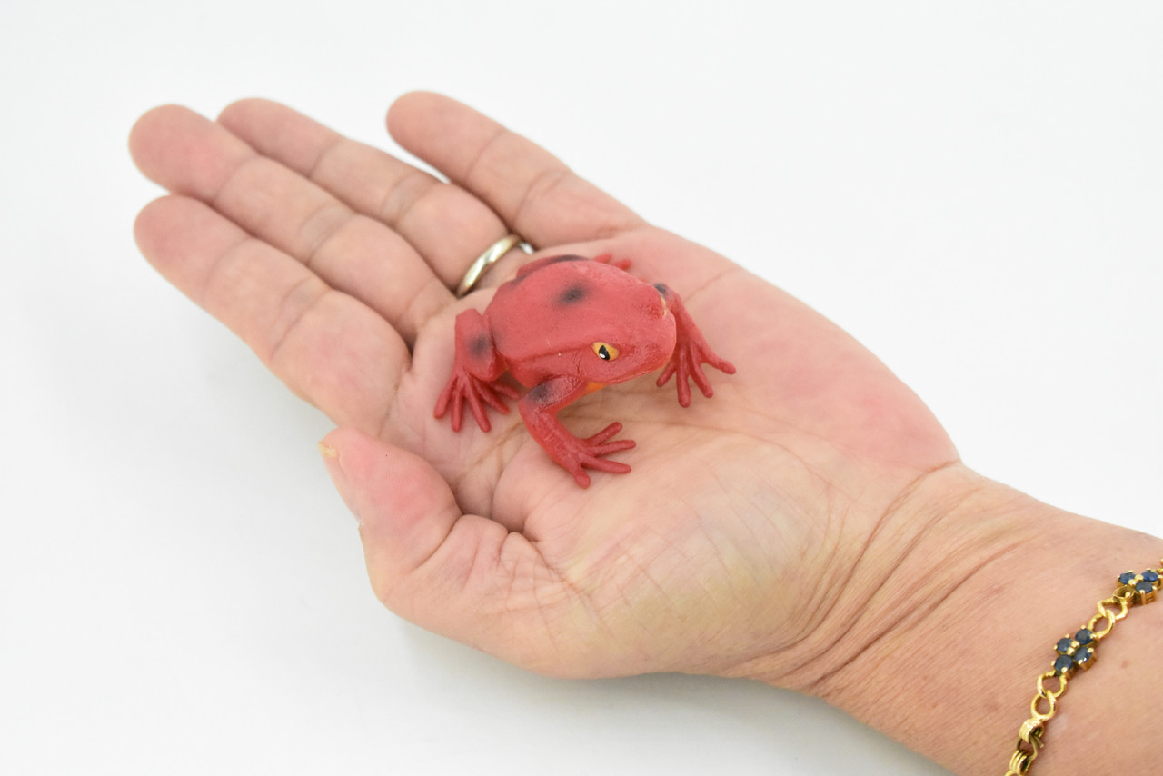 Tomato Frog, Hand Painted, Amphibian, Hard Rubber, Realistic Frog, Model, Replica, Toy, Kids, Educational, Gift,    2"  