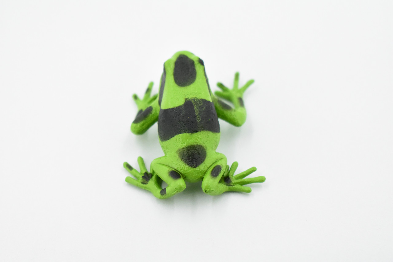 Poison Dart Frog, Green and Black, Hand Painted, Amphibian, Hard Rubber, Rainforest Frog, Model, Replica, Toy, Kids, Educational, Gift,      2"    F024 B37