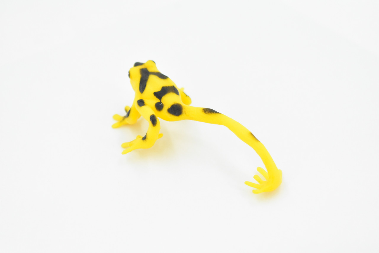 Panamanian Golden Frog, Black Spots, Hand Painted, Amphibian, Hard Rubber, Realistic Frog, Toy, Kids, Educational, Gift,        4"        F4408 B9