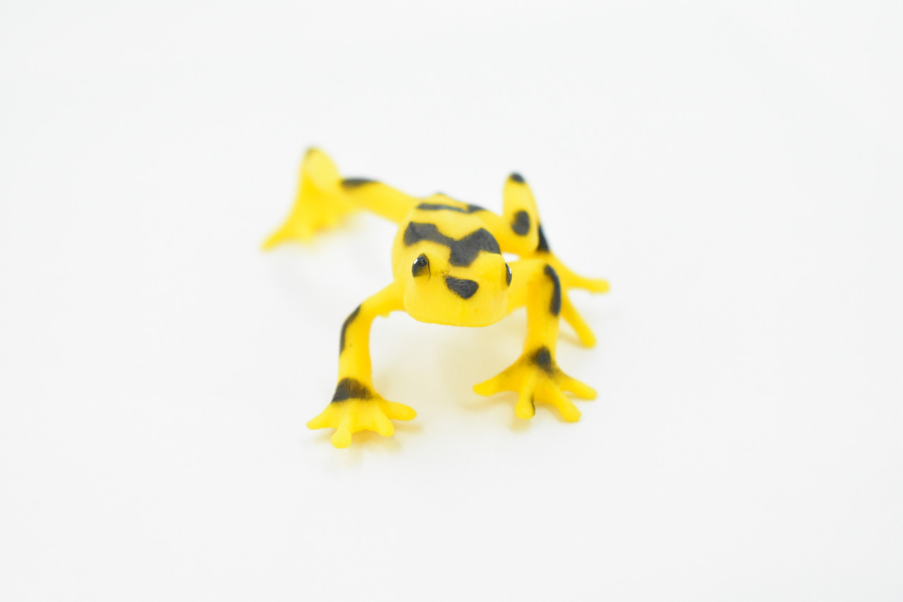 Frog, Panamanian Golden Frog, Black Spots, Plastic Toy, Realistic, Figure, Model, Replica, Kids, Educational, Gift,     4"     F4408 B9