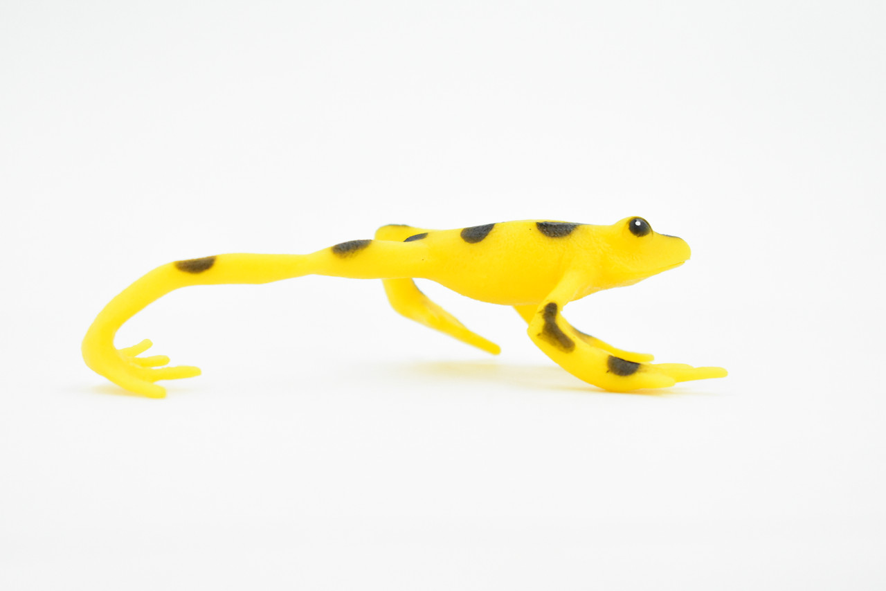 Panamanian Golden Frog, Black Spots, Hand Painted, Amphibian, Hard Rubber, Realistic Frog, Toy, Kids, Educational, Gift,        4"        F4408 B9