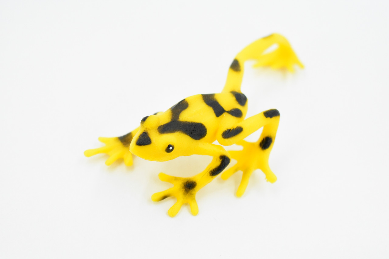 Panamanian Golden Frog, Black Spots, Hand Painted, Amphibian, Hard Rubber, Realistic Frog, Toy, Kids, Educational, Gift,        4"   