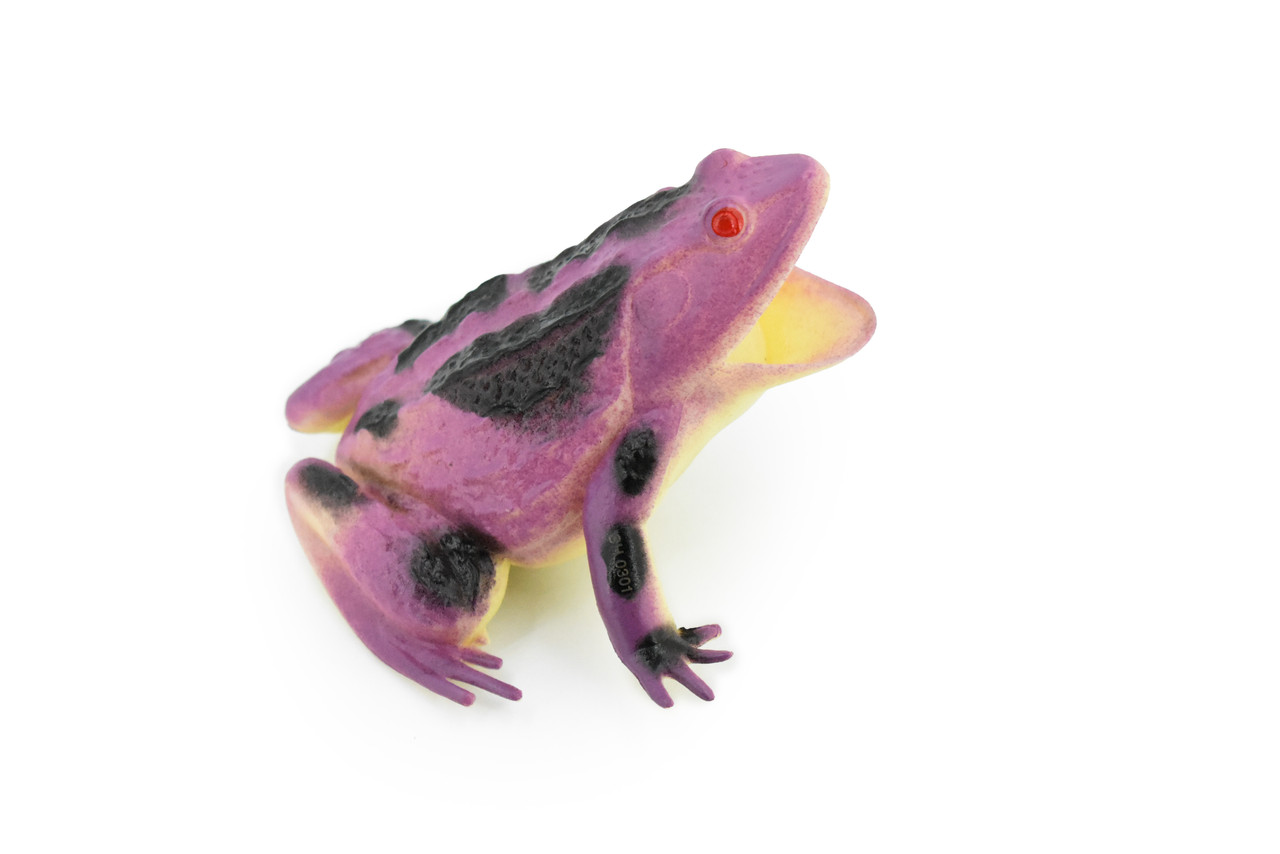 Frog, Purple Toad, Rubber Toy, Realistic, Rainforest, Figure, Model, Replica, Kids, Educational, Gift,     4"     F6084 B380