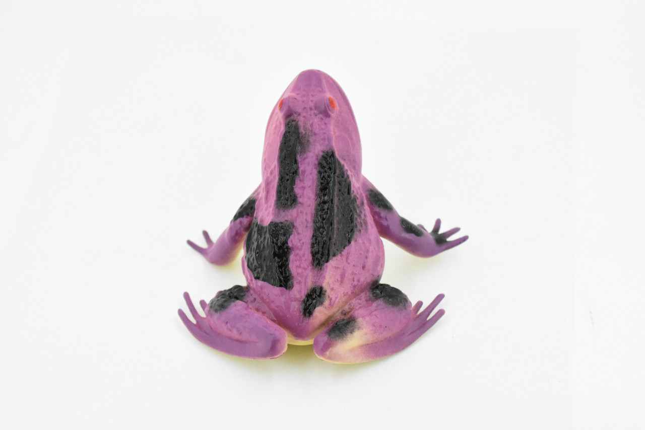 Frog, Purple Toad, Rubber Toy, Realistic, Rainforest, Figure, Model, Replica, Kids, Educational, Gift,     4"     F6084 B380