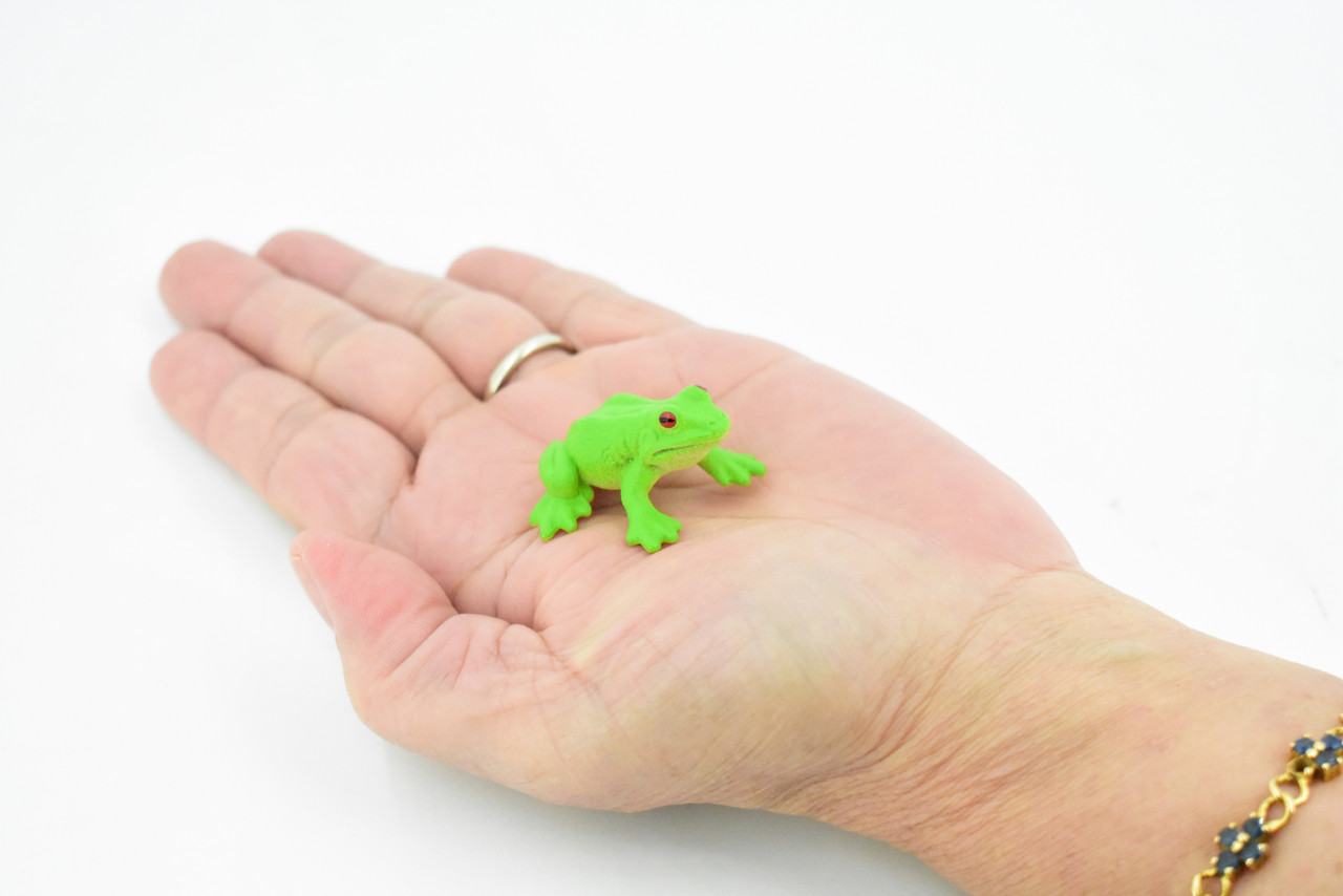 Green Tree Frog, Rubber Amphibian, Educational, Realistic, Figure, Lifelike Model, Figurine, Replica, Toys, Kids, Gift,    1 1/4 Inches.