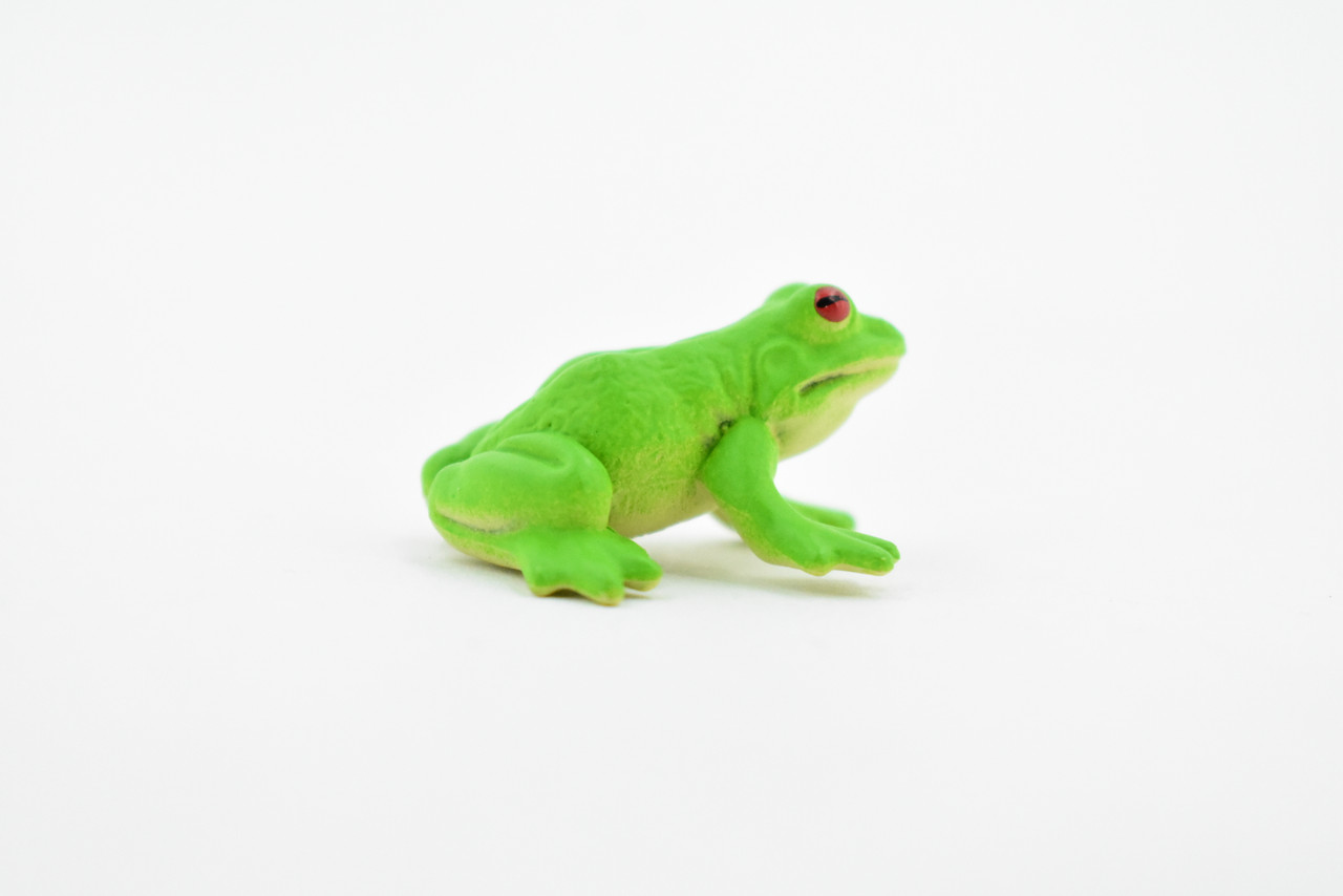Frog, Green Tree Frog, Rubber Toy, Realistic, Rainforest, Figure