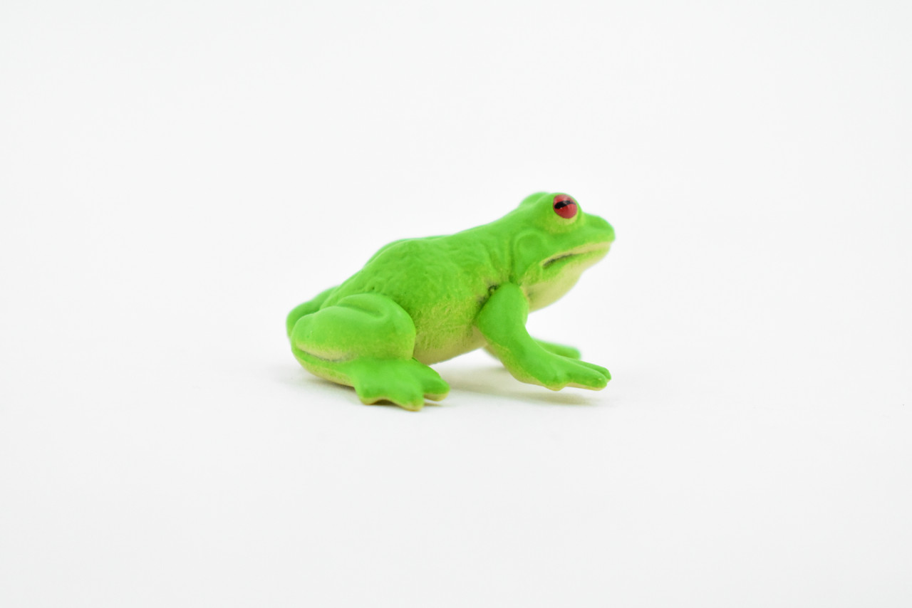 Green Tree Frog, Rubber Amphibian, Educational, Realistic, Figure, Lifelike Model, Figurine, Replica, Toys, Kids, Gift,    1 1/4 Inches.