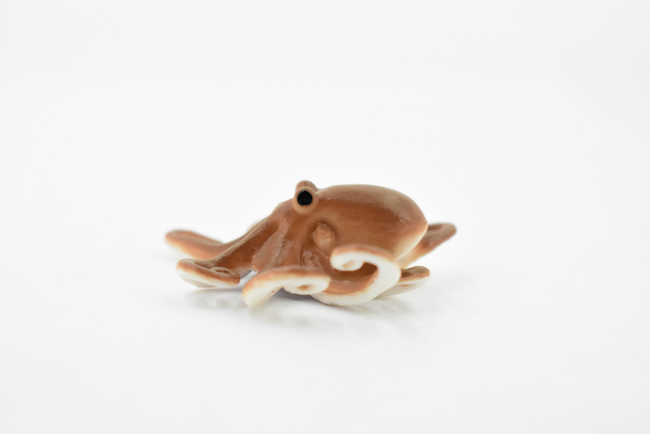 Octopus, Octopodes, Octopoda, Octopi, Museum Quality, Hand Painted, Realistic Toy Figure, Diorama Model, Replica, Kids, Educational, 2 Inches. 