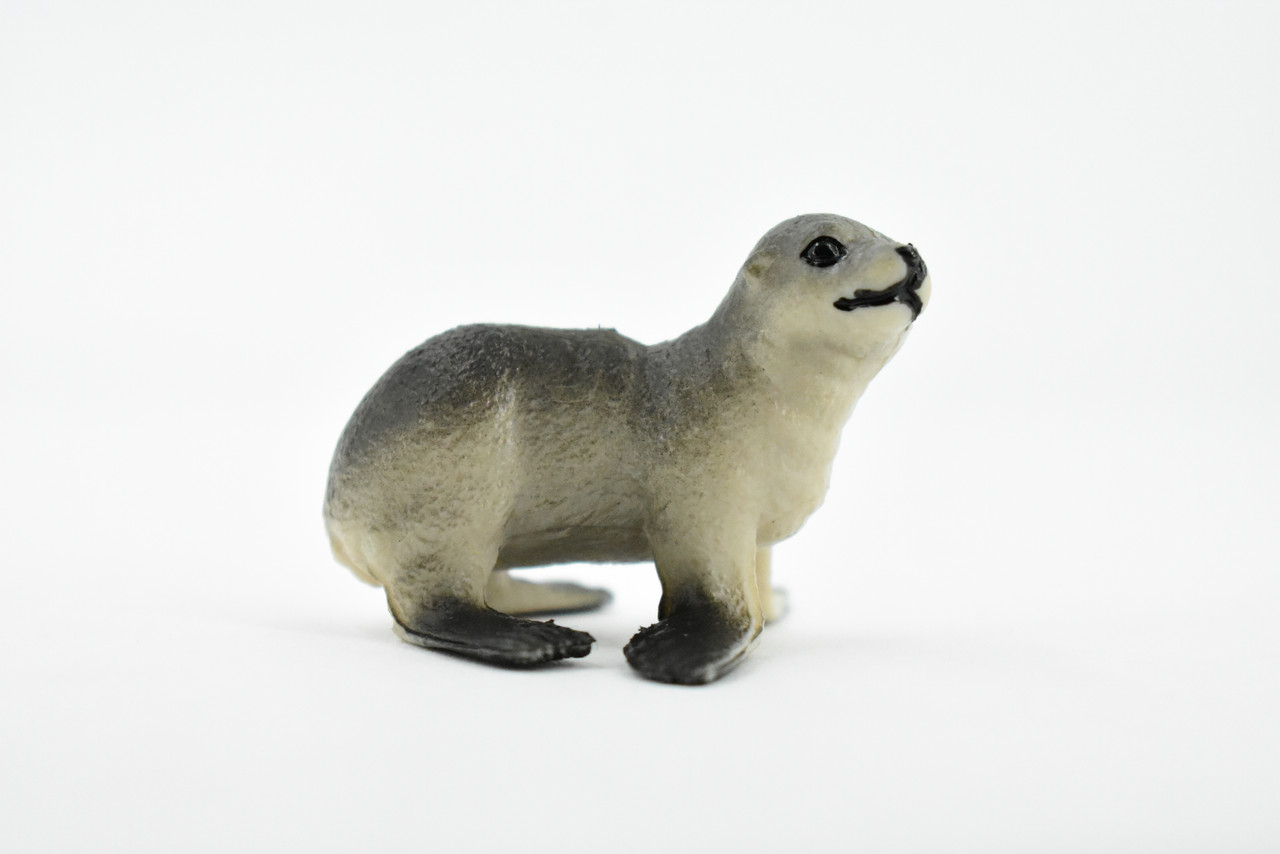 Sea Lion, Baby, Calf, Pinnipeds, Rubber Animal, Realistic Toy Figure, Model, Replica, Kids, Educational, Gift,       2"      CH402BB108