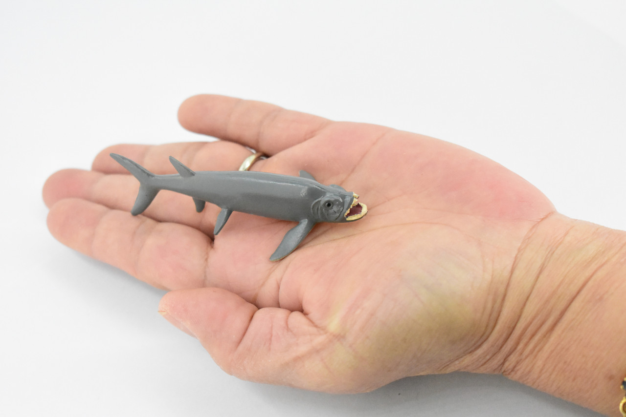 Xiphactinus, Extinct Fish, Fanged Tarpon, Museum Quality, Hand Painted, Educational, Prehistoric, Realistic Toy Figure, Diorama Model, Kids,  3 Inches.