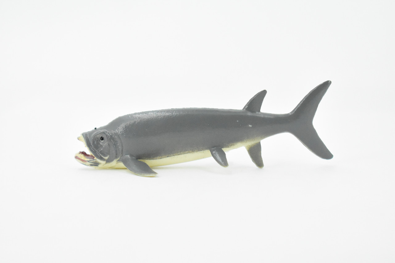 Xiphactinus, Extinct Fish, Fanged Tarpon, Rubber Animal, Realistic Toy Figure, Model, Replica, Kids, Educational, Gift,       3"       CH403 BB108