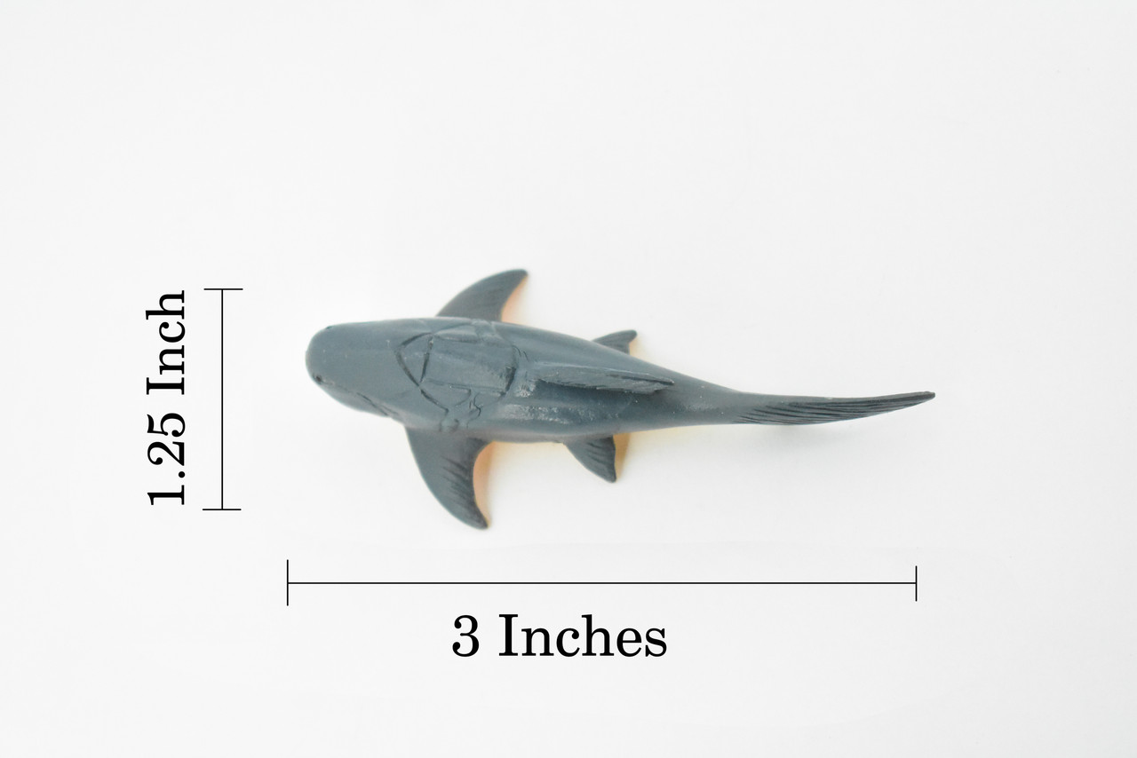 Dunkleosteus, Extinct Fish, Rubber Animal, Realistic Toy Figure, Model, Replica, Kids, Educational, Gift,       3"     CH404BB108