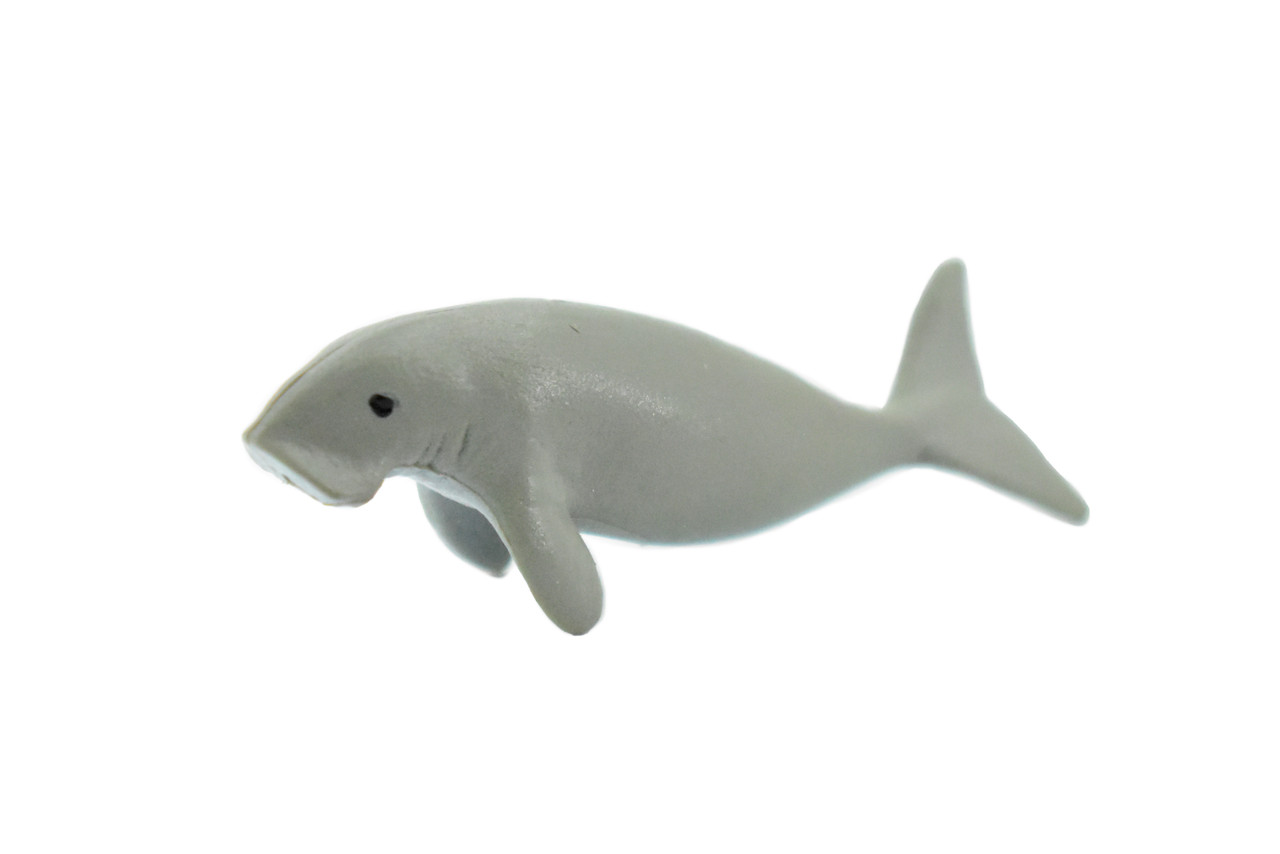 Manatee, Sea Cow, Ocean, Dugongs, Marine Mammal, Hand Painted, Rubber Animal, Realistic Toy Figure, Diorama Model, Kids, Educational, 2 Inches. 