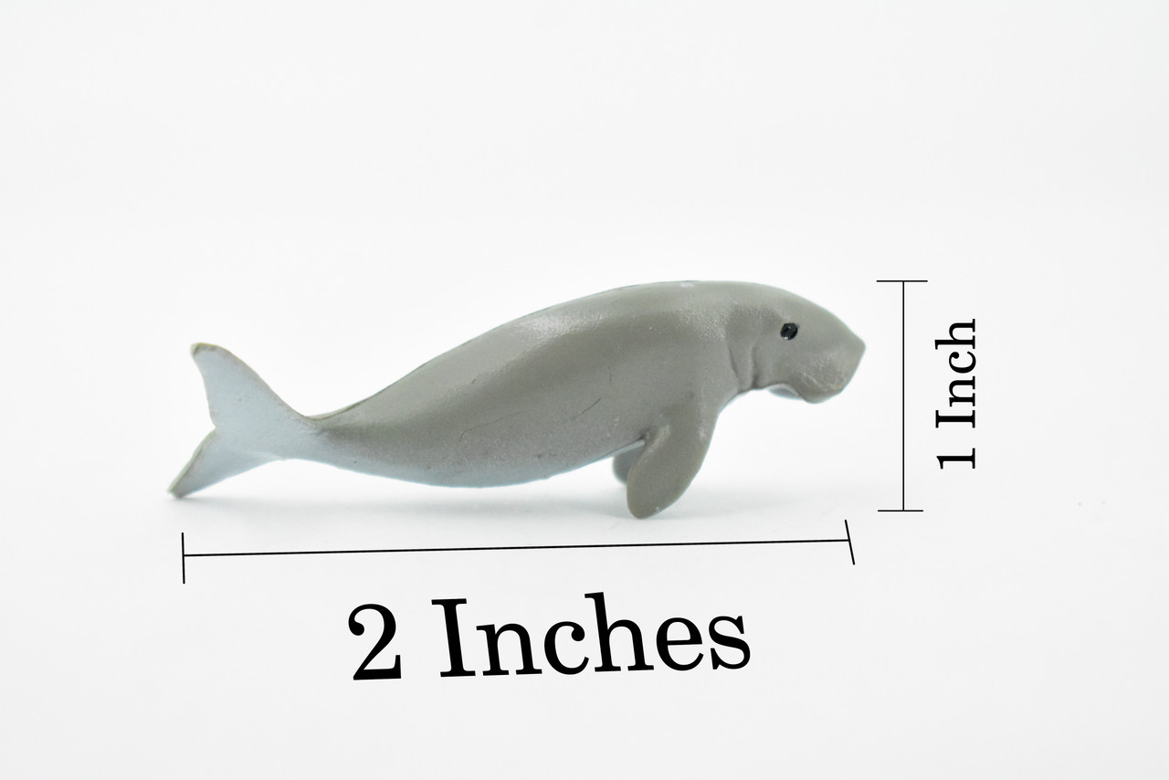 Manatee, Sea Cow, Ocean, Dugongs, Marine Mammal, Hand Painted, Rubber Animal, Realistic Toy Figure, Diorama Model, Kids, Educational, 2 Inches. 