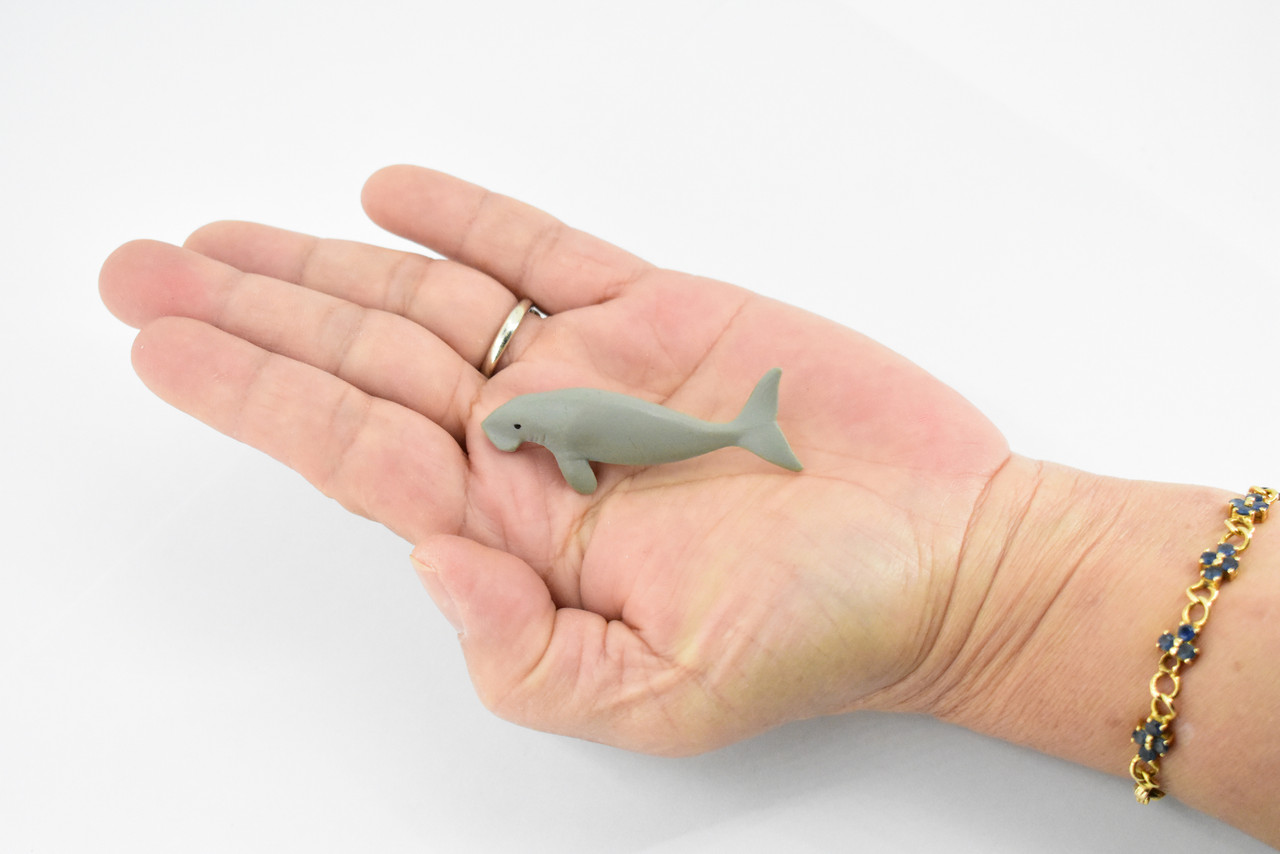 Manatee, Sea Cow, Ocean, Dugongs, Marine Mammal, Hand Painted, Rubber Animal, Realistic Toy Figure, Diorama Model, Kids, Educational, 2 Inches. 