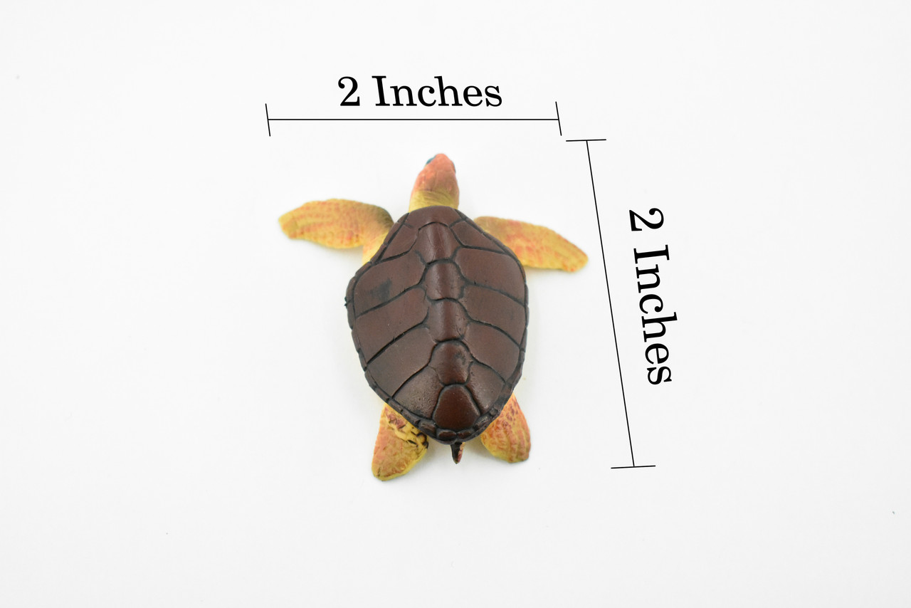 Loggerhead Sea Turtle, (Caretta caretta), Rubber Reptile, Hand Painted, Educational, Realistic Toy Figure, Diorama Model, Kids,  2 1/2 Inches. 