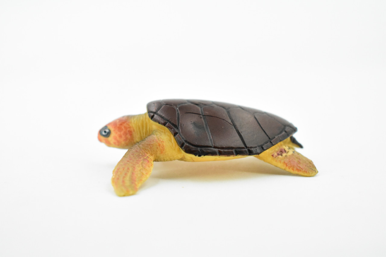 Turtle, Loggerhead Sea Turtle, (Caretta caretta) Rubber Reptile, Realistic Toy Figure, Model, Replica, Kids, Educational, Gift,     2 1/2"    CH408 BB108