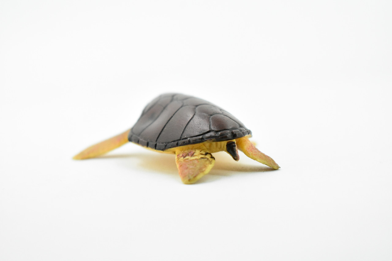 Turtle, Loggerhead Sea Turtle, (Caretta caretta) Rubber Reptile, Realistic Toy Figure, Model, Replica, Kids, Educational, Gift,     2 1/2"    CH408 BB108