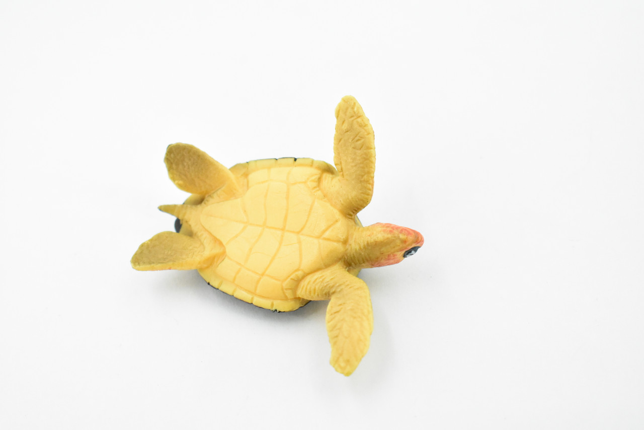 Turtle, Loggerhead Sea Turtle, (Caretta caretta) Rubber Reptile, Realistic Toy Figure, Model, Replica, Kids, Educational, Gift,     2 1/2"    CH408 BB108