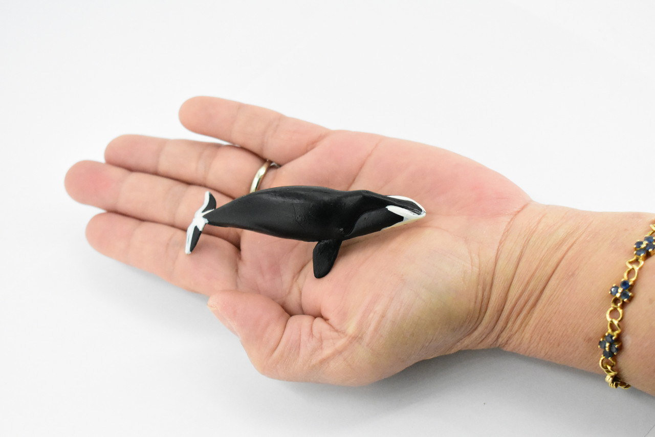 Bowhead Whale, Arctic right whale, Marine Mammal, Hand Painted, Rubber, Educational Design, Figure, Diorama Model, Toy, Kids,   3 1/2 Inches.