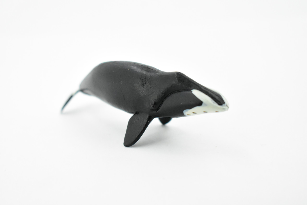 Bowhead Whale, Arctic right whale, Marine Mammal, Hand Painted, Rubber, Educational Design, Figure, Diorama Model, Toy, Kids,   3 1/2 Inches.