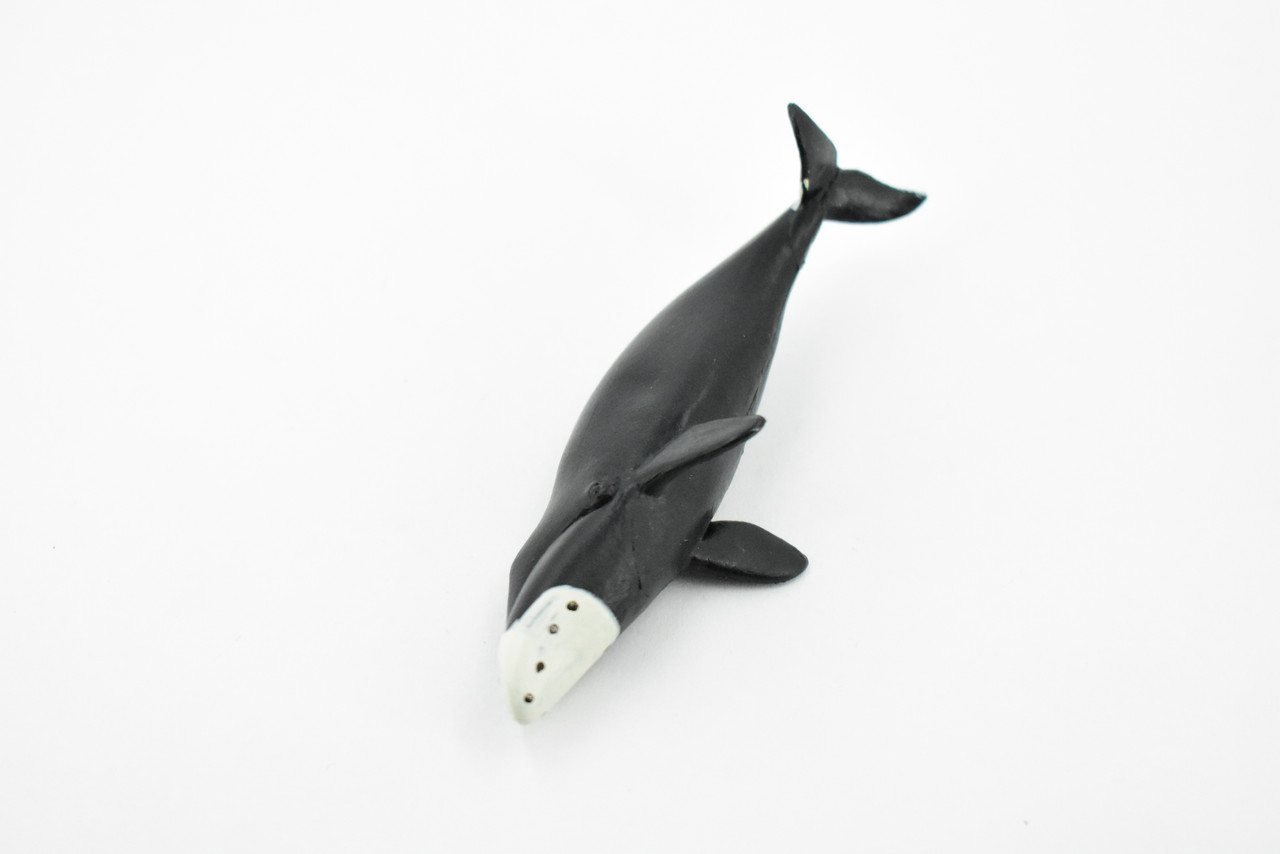 Bowhead Whale, Rubber Animal, Realistic Toy Figure, Model, Replica, Kids, Educational, Gift,       3 1/2"      CH409 BB108