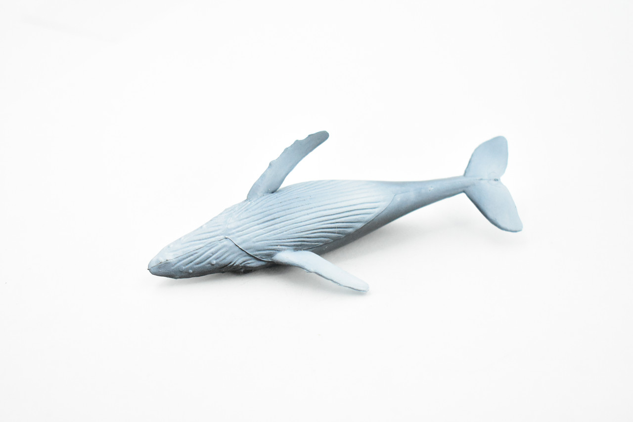 Humpback Whale, Rubber Animal, Realistic Toy Figure, Model, Replica, Kids, Educational, Gift,       3 1/2"    CH410 BB108