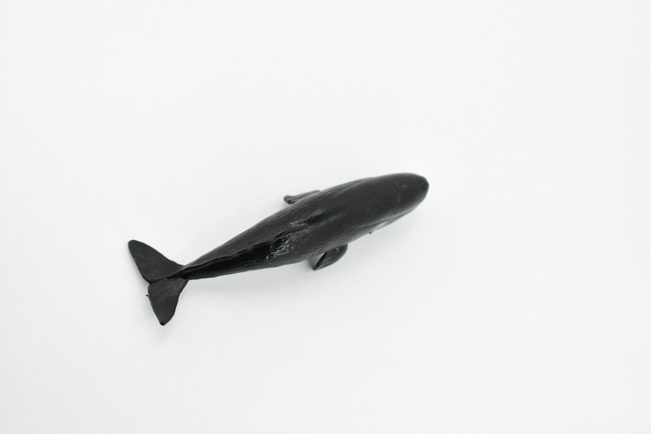 Sperm Whale, Rubber Animal, Realistic Toy Figure, Model, Replica, Kids, Hand Painted, Educational, Gift,       3 1/2"           CH411 BB108