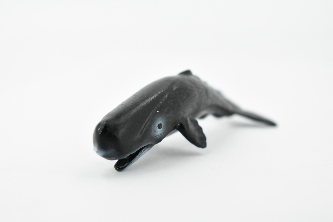 Sperm Whale, Rubber Animal, Realistic Toy Figure, Model, Replica, Kids, Hand Painted, Educational, Gift,       3 1/2"           CH411 BB108