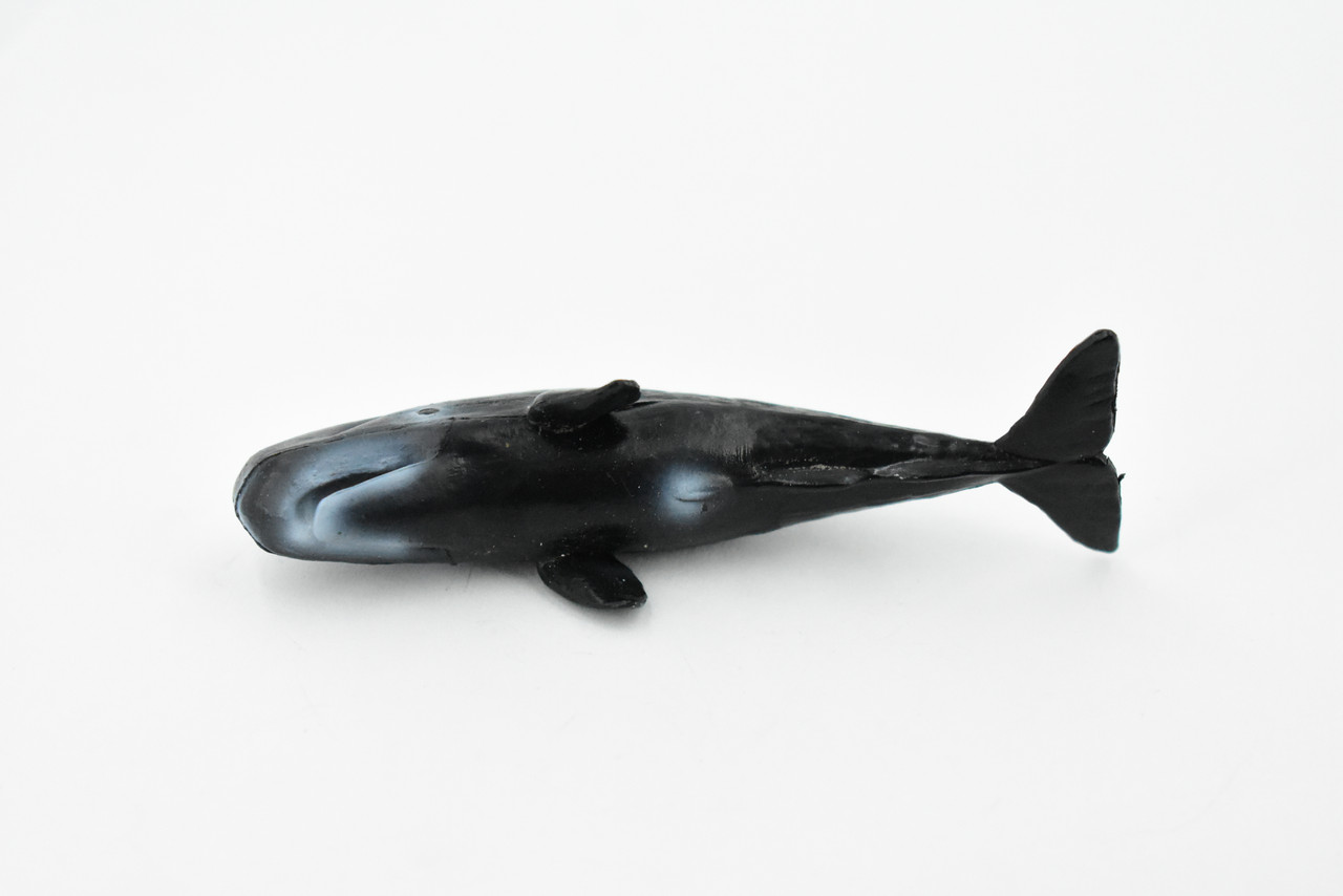 Sperm Whale, Rubber Animal, Realistic Toy Figure, Model, Replica, Kids, Hand Painted, Educational, Gift,       3 1/2"           CH411 BB108