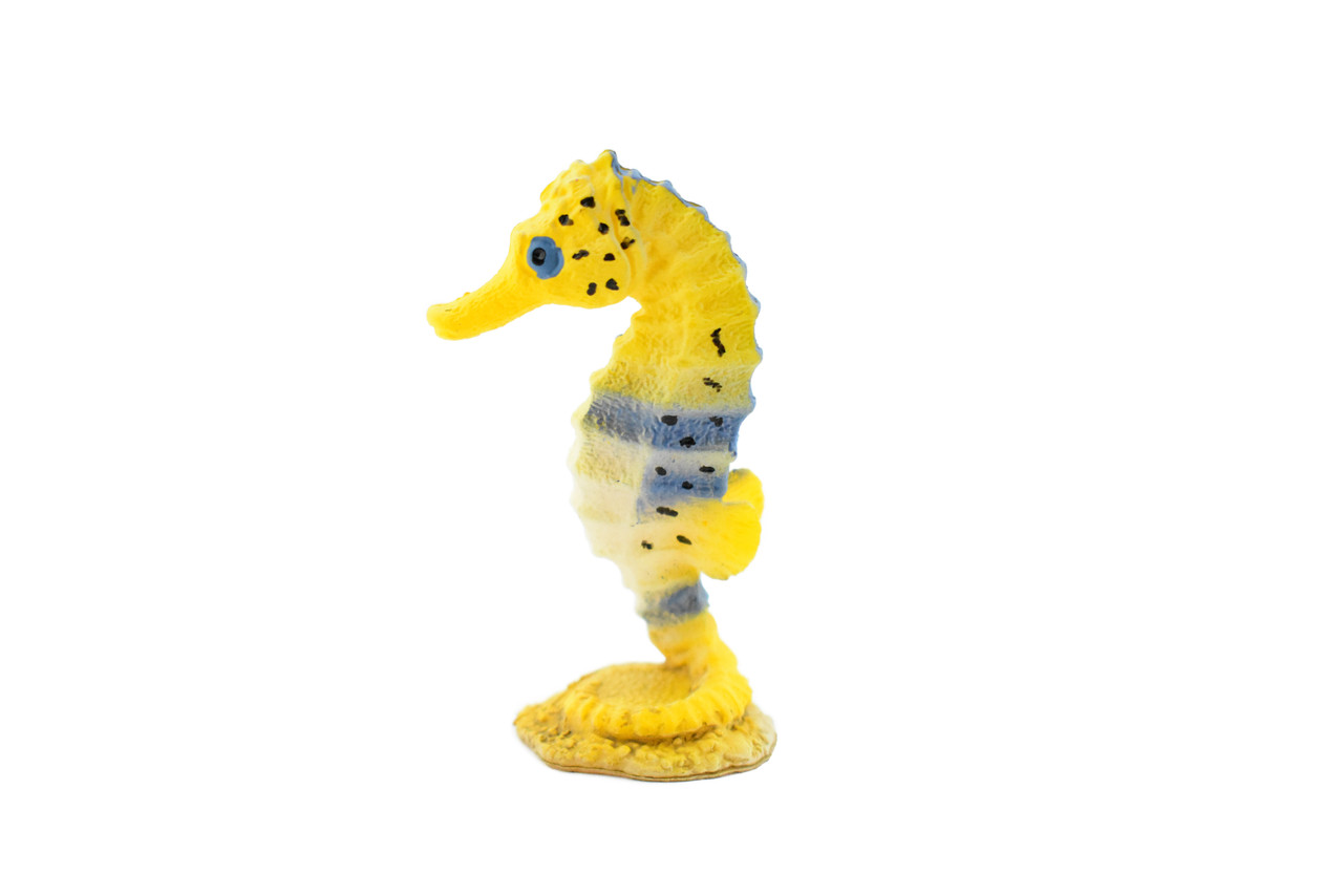 Seahorse, Sea-Horse, Sea Horse, Rubber, Museum Quality, Hand Painted, Realistic Toy Figure, Diorama Model, Replica, Kids, Educational,  2 1/4 Inches.