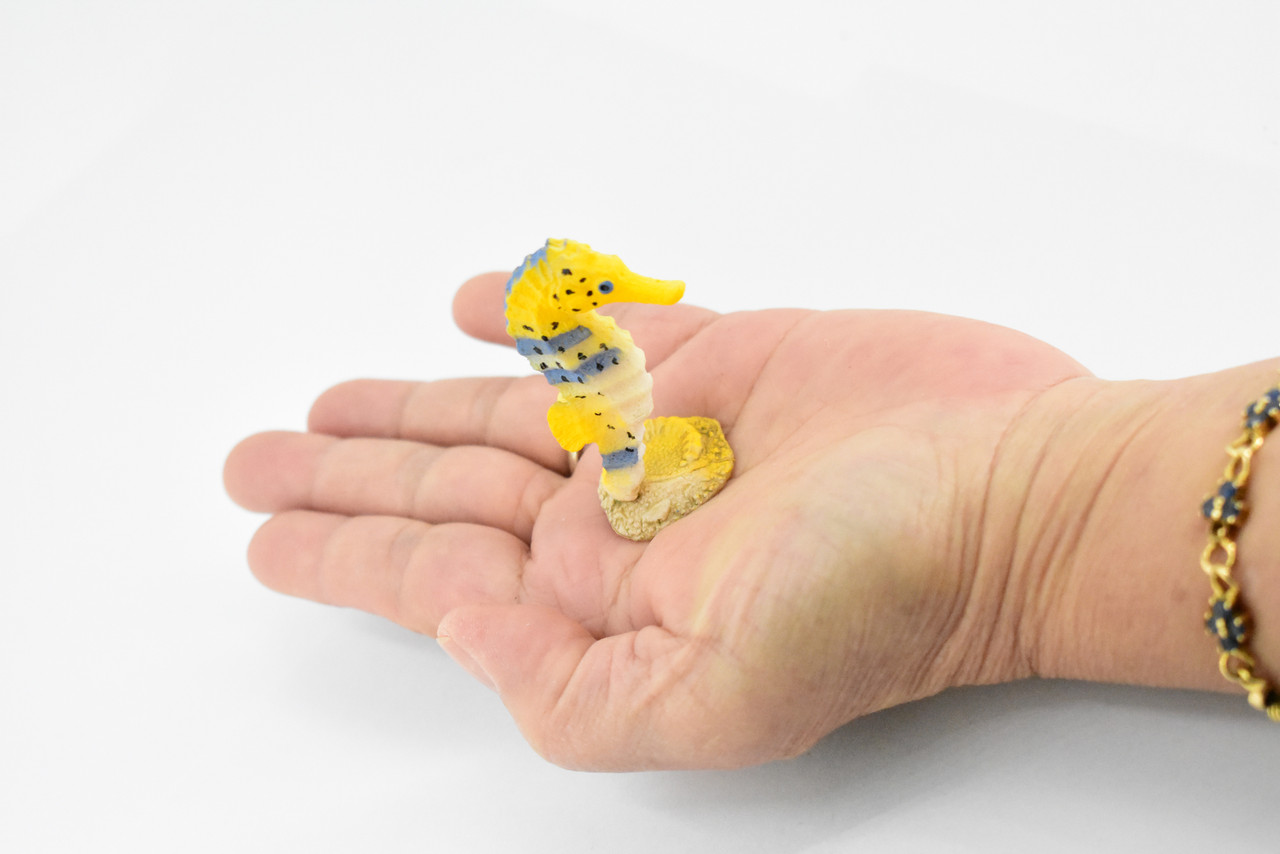 Seahorse, Sea-Horse, Sea Horse, Rubber, Museum Quality, Hand Painted, Realistic Toy Figure, Diorama Model, Replica, Kids, Educational,  2 1/4 Inches.