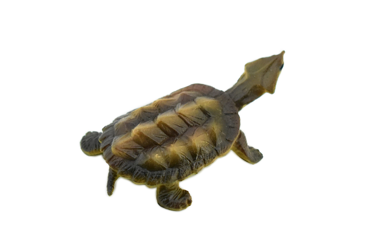 Turtle, Alligator Snapping, Matamata Turtle, Rubber Reptile, Realistic Toy Figure, Model, Replica, Kids, Hand Painted, Educational, Gift,    2"   CH414 BB108