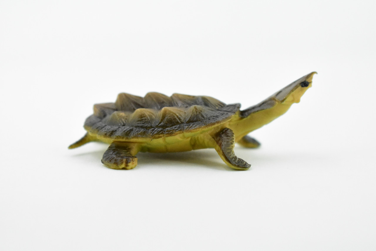 Turtle, Alligator Snapping, Matamata Turtle, Rubber Reptile, Realistic Toy Figure, Model, Replica, Kids, Hand Painted, Educational, Gift,    2"   CH414 BB108