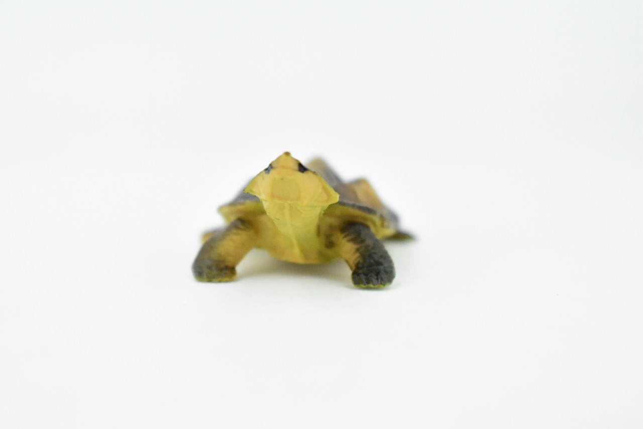 Turtle, Alligator Snapping, Matamata Turtle, Rubber Reptile, Realistic Toy Figure, Model, Replica, Kids, Hand Painted, Educational, Gift,    2"   CH414 BB108