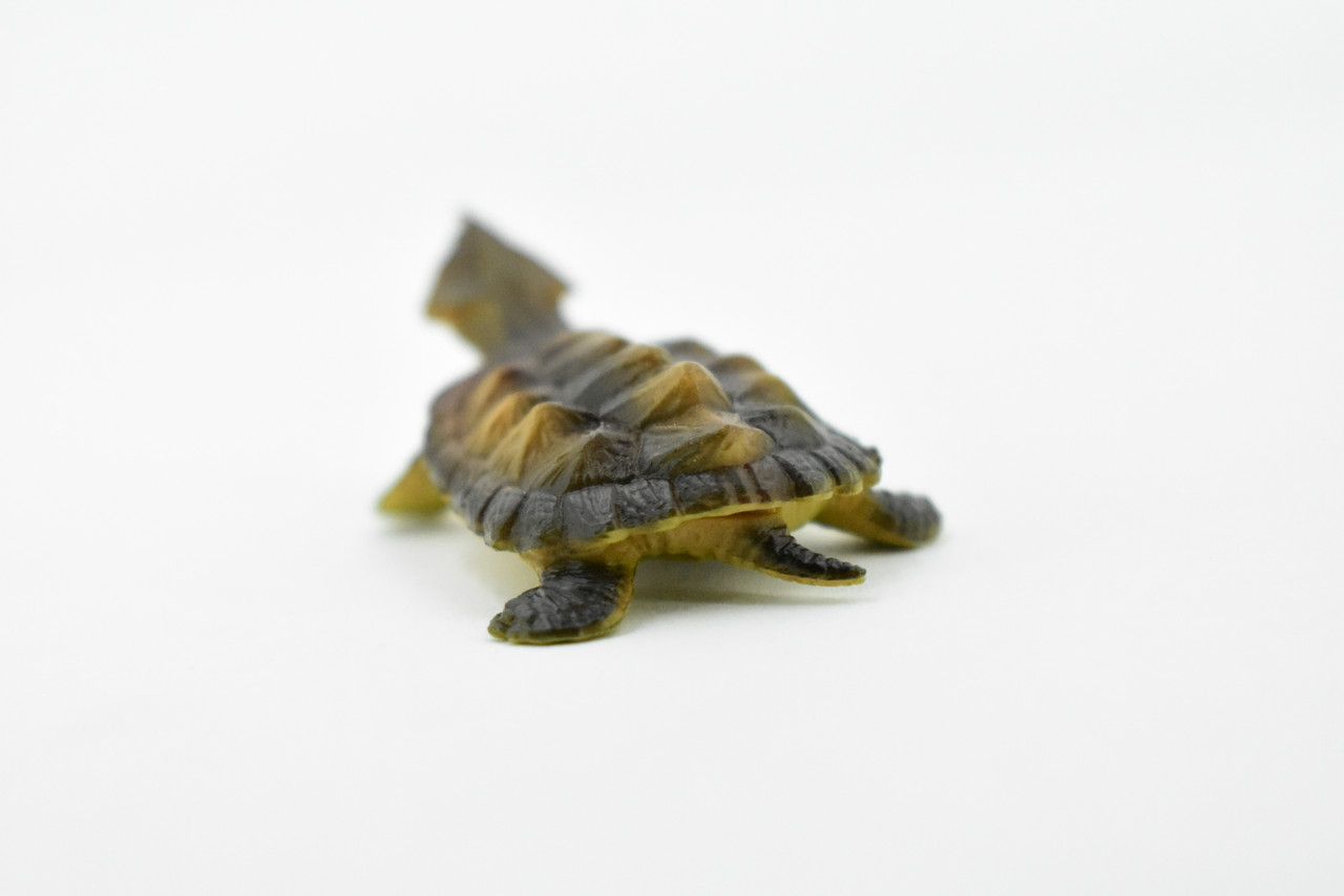 Turtle, Alligator Snapping, Matamata Turtle, Rubber Reptile, Realistic Toy Figure, Model, Replica, Kids, Hand Painted, Educational, Gift,    2"   CH414 BB108