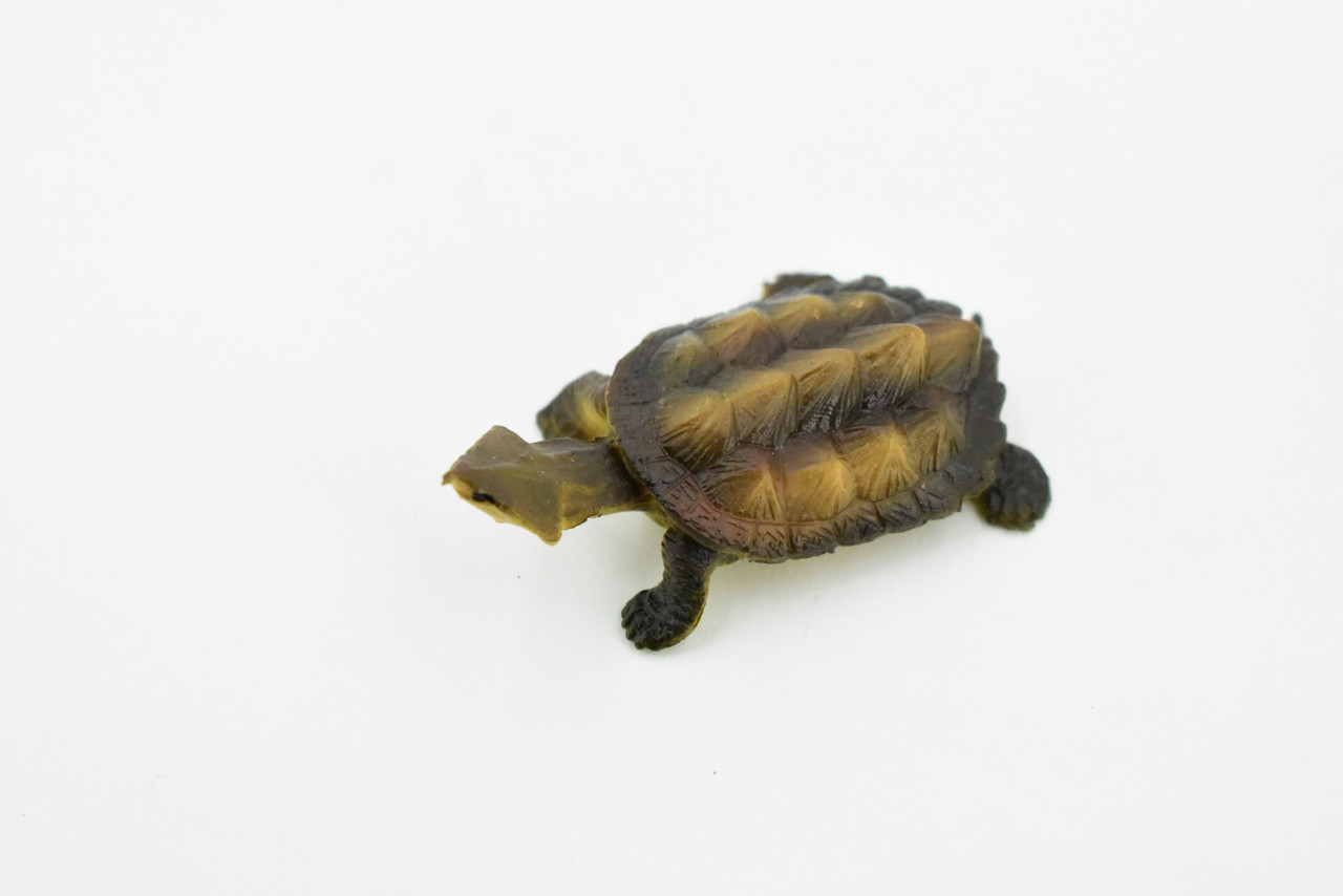 Turtle, Alligator Snapping, Matamata Turtle, Rubber Reptile, Realistic Toy Figure, Model, Replica, Kids, Hand Painted, Educational, Gift,    2"   CH414 BB108